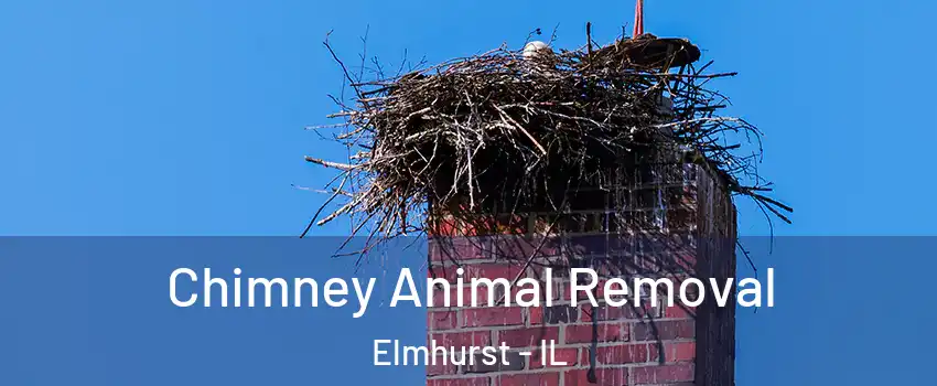 Chimney Animal Removal Elmhurst - IL
