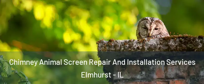  Chimney Animal Screen Repair And Installation Services Elmhurst - IL