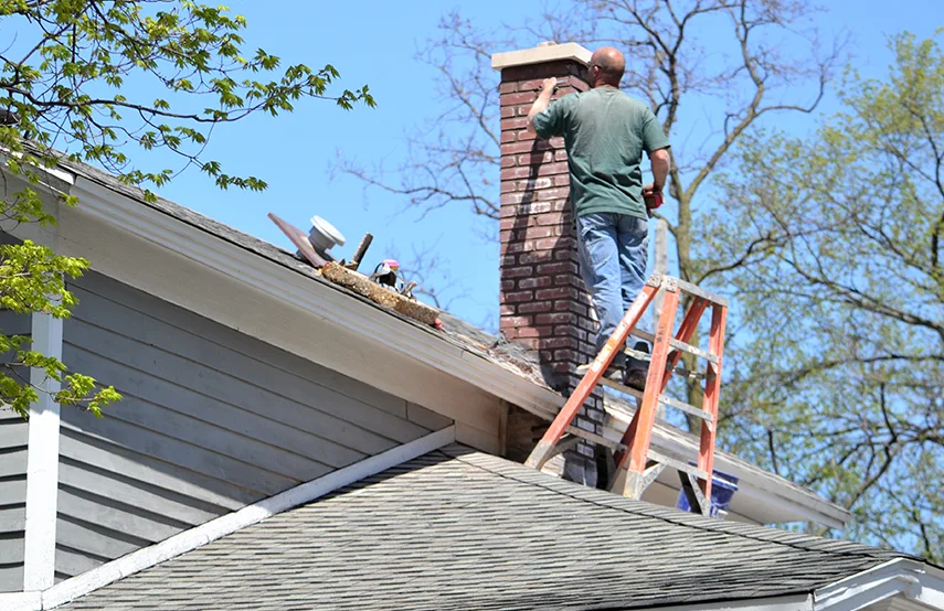 Chimney & Fireplace Inspections Services in Elmhurst, IL